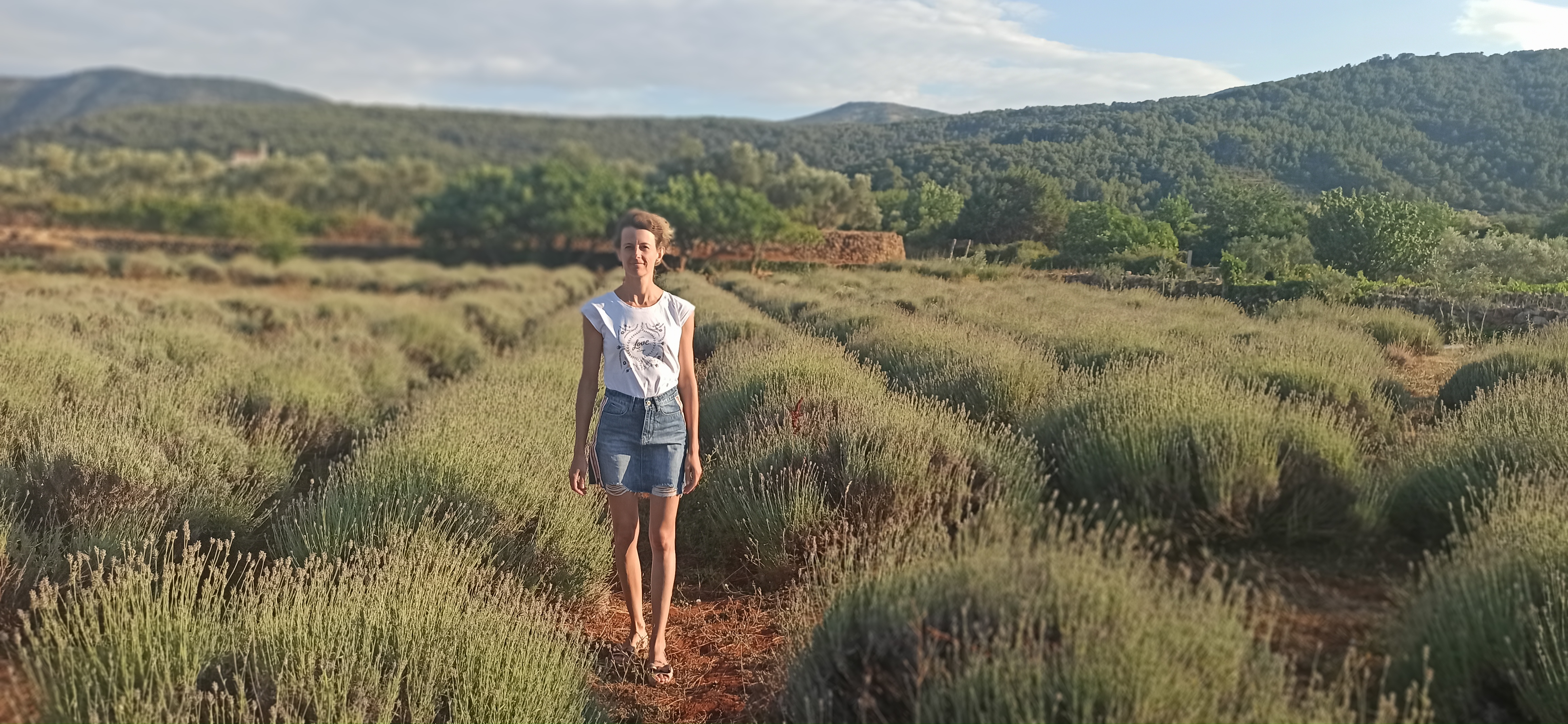 Plantacja lawendy w stylu śródziemnomorskim, inspiracja z wyspy Hvar i Prowansji